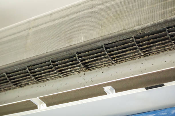 Best General Air Duct Cleaning  in Conyngham, PA